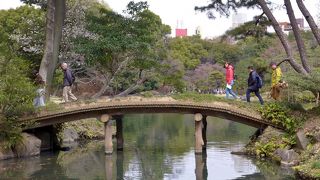 橋には手すりが無いのでご注意を