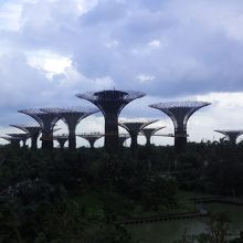スーパーツリーとOCBCスカイウェイ