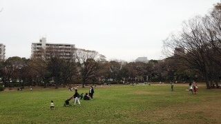 家族でゆっくりできる公園