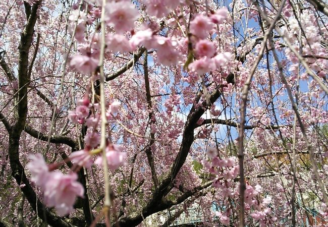 古永建設庭園