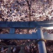 桜の御嶽山