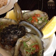 ブラフオイスター