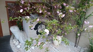 暖かくなってきたので久しぶりに肉ぶっかけ冷！