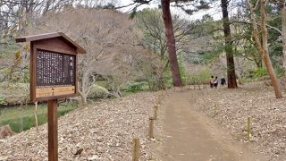 「ささかに」とは蜘蛛のことだそうです、笹の上を這う蟹？