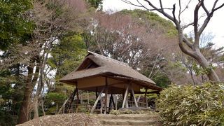 茶屋の柱がつつじの木で出来ています
