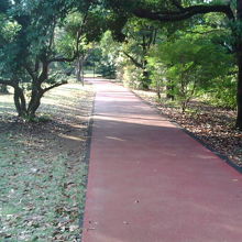 ジョギングコース