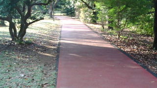 芝生、ジョギング、市民の憩い。