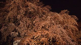 流れ落ちる滝を彷彿させます