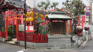 狐の行列が見られます