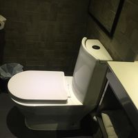 ペーパーは流してはいけないタイプのようです