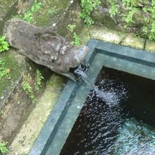 琉球王国時代から水が流れています。