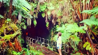 地元の人オススメポイントでした