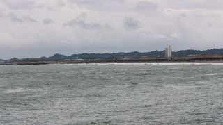 珍鳥アラナミキンクロを見てきました。