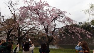 乾通り一般公開