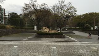 桜がいい感じで