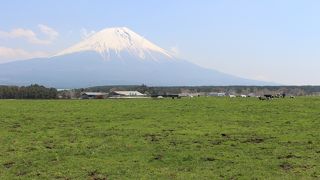 富士山周辺ドライブのほっと一息ポイント
