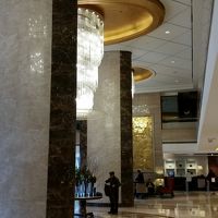 雨の中漸くロビーまで到着して一安心。