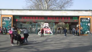 旧正月シーズンの上海動物園
