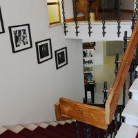 ギャラリー風にロビーや廊下に絵画や写真が飾られてセンスが良い