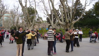 地元上海人の豊かな時間の過ごし方に触れる場所です。