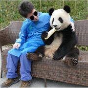 パンダ抱っこができる熊猫楽園（中国四川省 都江堰基地）は成都パンダ基地よりおすすめ