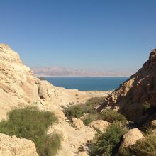 死海が見える