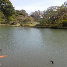 六義園その１