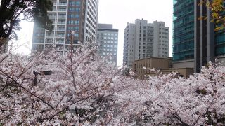 南北線六本木一丁目駅直結です。