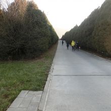 外周の回廊壁的並木遊歩道