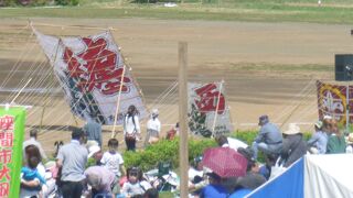 座間市大凧まつり