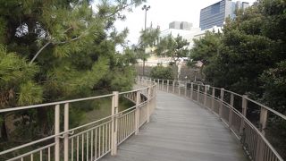 ウッドデッキの遊歩道