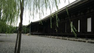 修学旅行生が多い