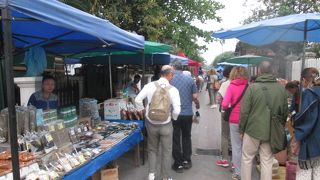 食べるものが多くあります