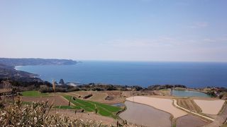 海を背景にした棚田