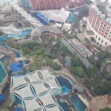 アンダーウォーター・ワールド・アンド・ドルフィン・ラグーン