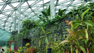 広大な温室。肌寒い時の採暖室としても