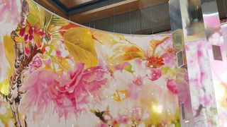 【SAKURA in Marunouchi】