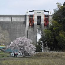 今富ダム公園