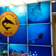 マリンダイビングフェア期間中、大人400円割引です。