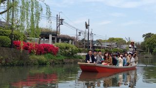 のんびり柳川下り