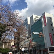 釣り堀の見える駅