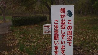 熊が出没中で