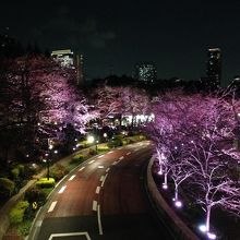 歩道橋から眺めて。