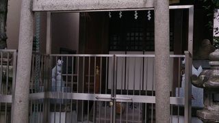 町内で大事にされているのが良くわかる神社