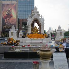 プラピッカネート