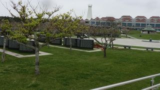 ここは広いです。