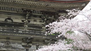 琵琶湖一望できる歩くお寺
