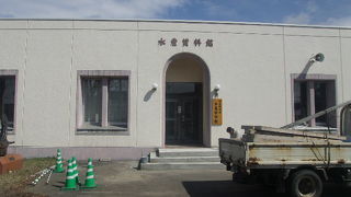 北海道大学総合博物館 水産科学館