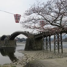 ２分咲きくらいの桜