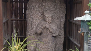 日本では見かけることが少ない